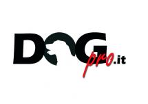 pensione per cani roma